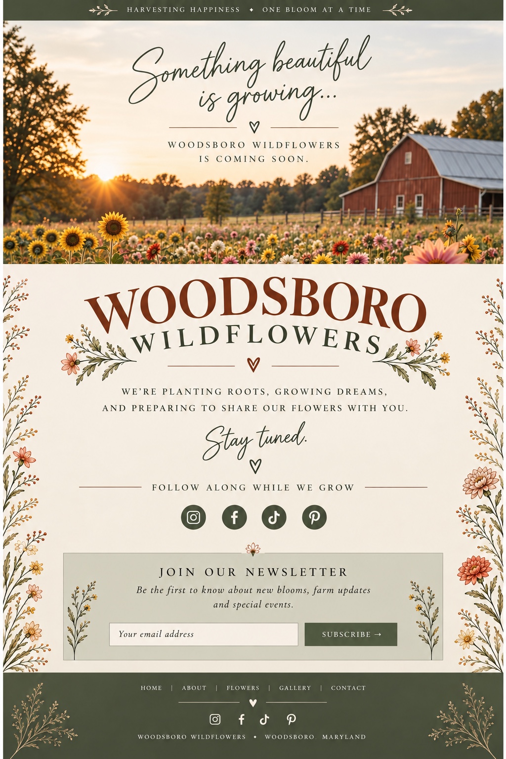 Something beautiful is growing… Woodsboro Wildflowers is coming soon. A red barn overlooks a sunlit field of flowers.